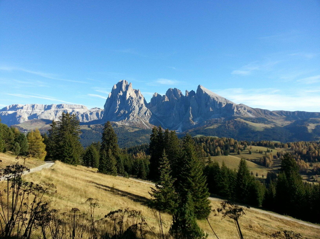 Funivia Ortisei Alpe Di Siusi景点图片