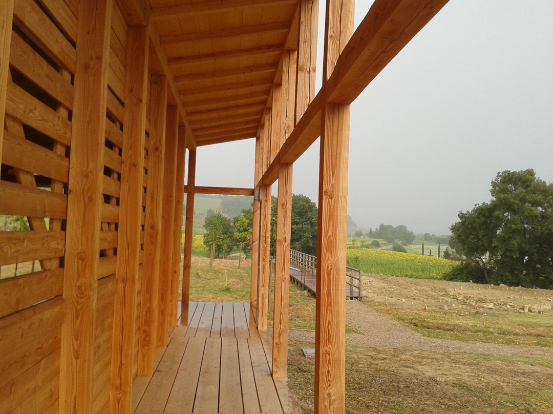 Parco Archeologico Pava景点图片