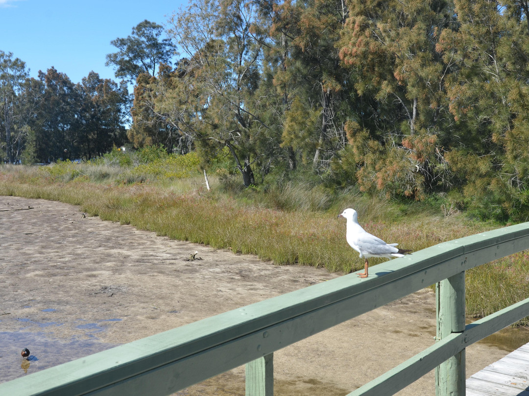 Burrill Lake-Burrill Lake必去景点