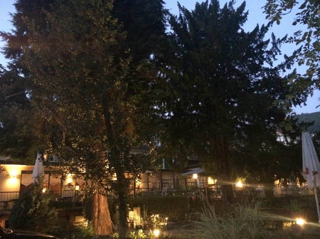 Schwarzer Adler主图