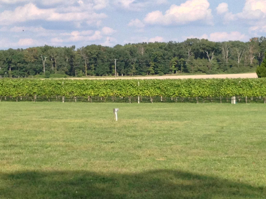 Bellview Winery-Landisville必去景点