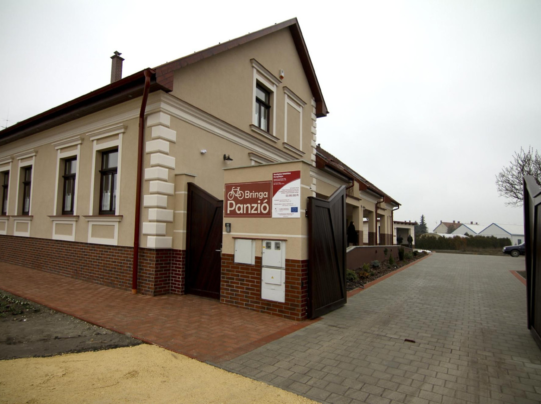 Bringa Panzio主图