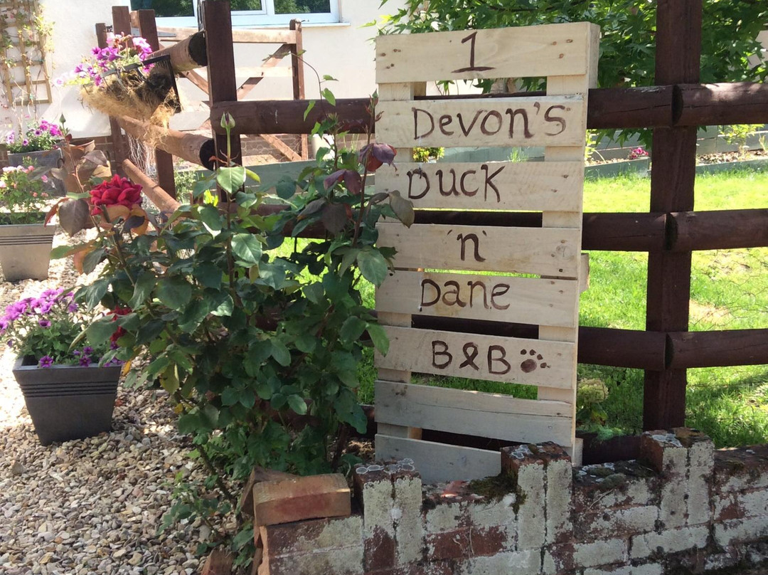 Devon's Duck n Dane B&B主图