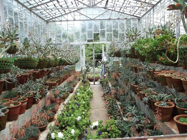 Municipal Garden景点图片