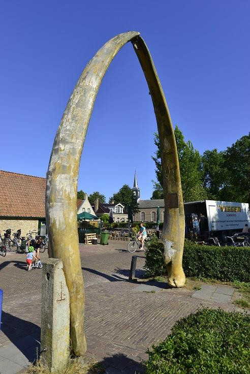 Whale Jaws-Schiermonnikoog必去景点