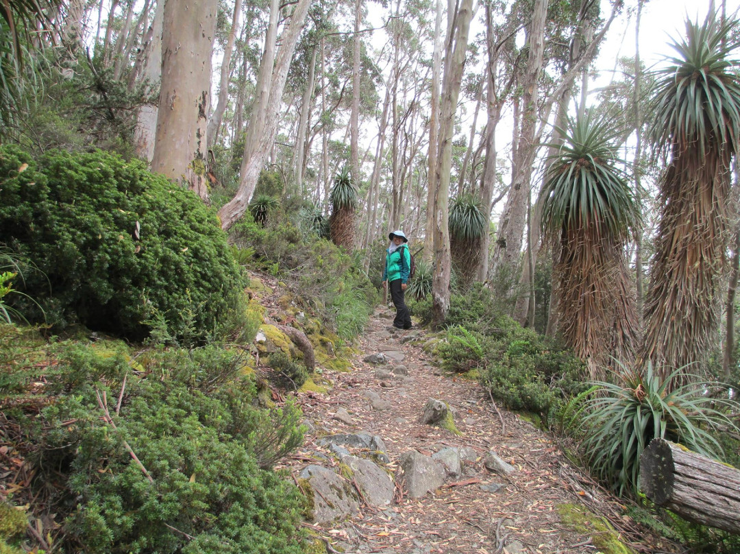 Launceston Kayak Tours-朗塞斯顿必去景点