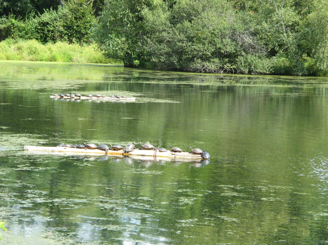East Setauket Pond Park-East Setauket必去景点