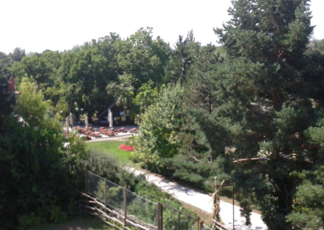 Palic Zoo景点图片