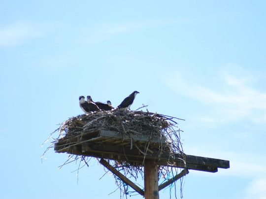 Columbia River Journeys-Richland必去景点