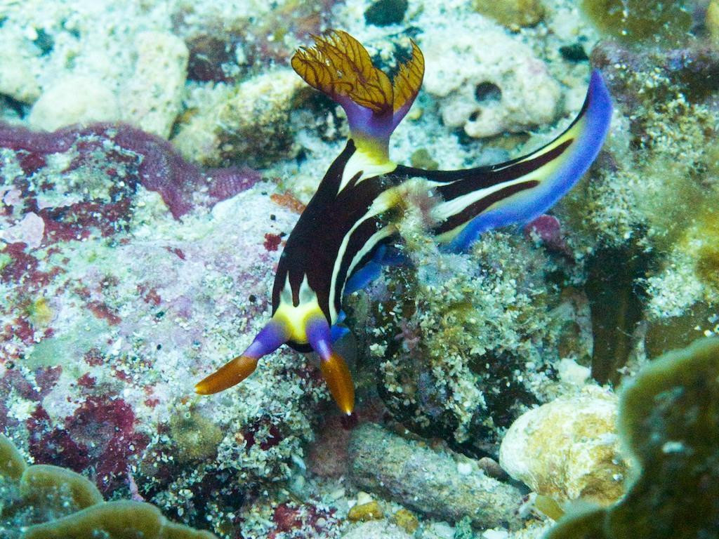 Keswick Underwater Adventures景点图片
