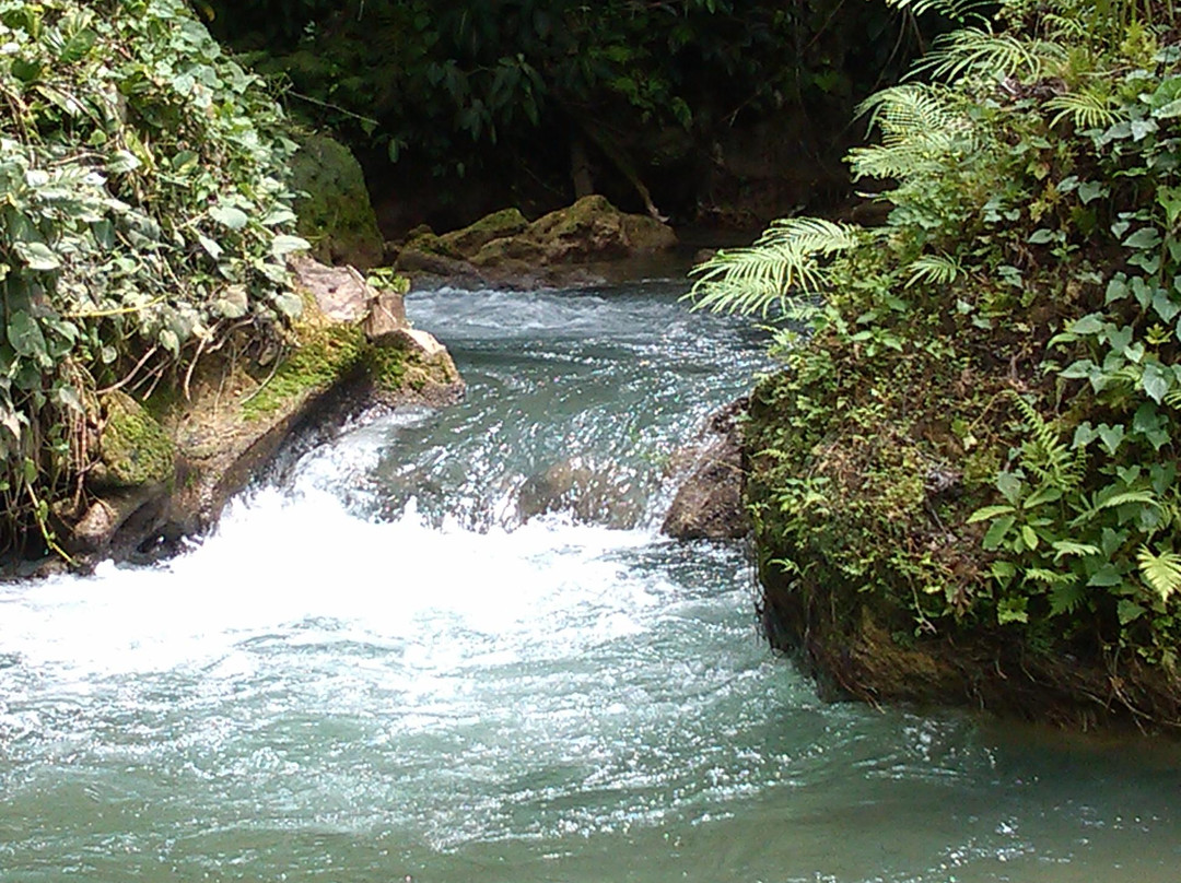 Jamaica Solid Gold Tours-Boscobel必去景点