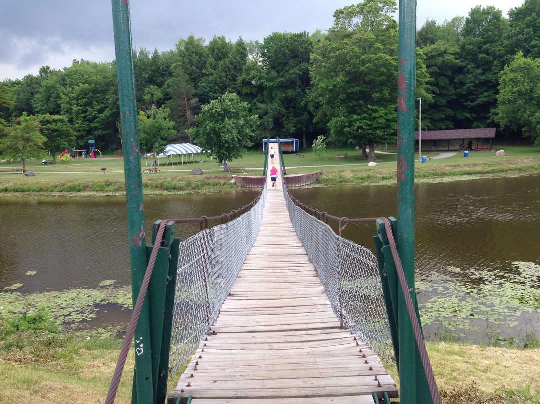 Croswell Swinging Bridge-Croswell必去景点