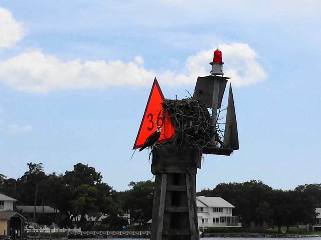 Odyssey Cruises-塔彭斯普林斯必去景点