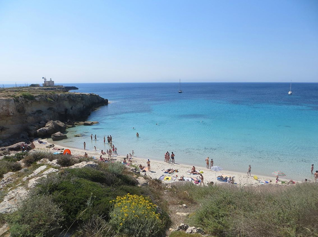 Scogliera Cala Azzurra景点图片