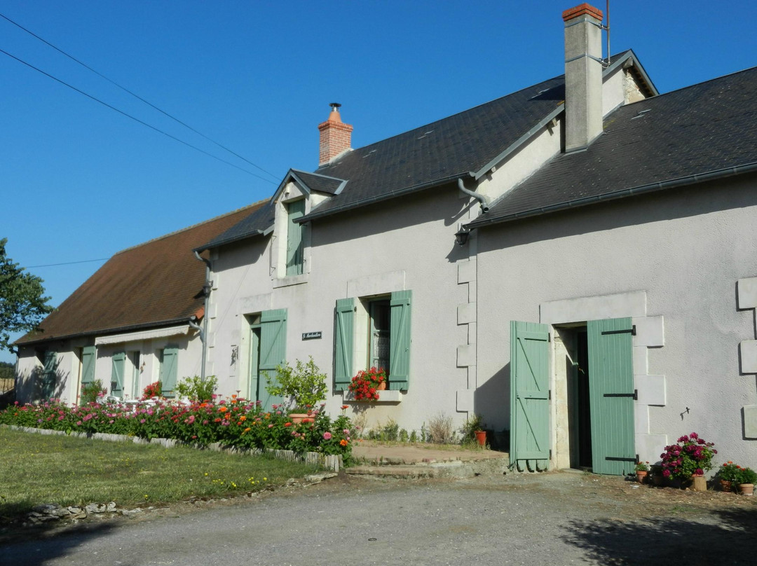 Chatillon-sur-Indre旅游攻略图片