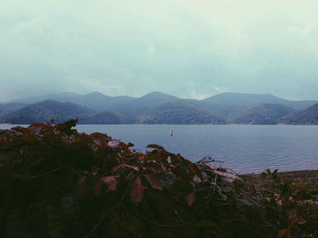 Lake Moomaw-Covington必去景点