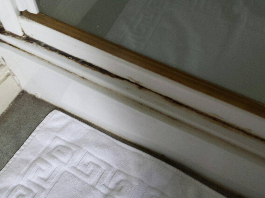 Collingdale Hotel Bed & Breakfast