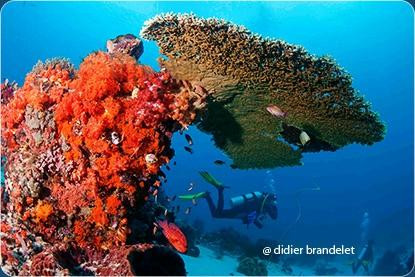 Safari Bali-克罗柏坎必去景点