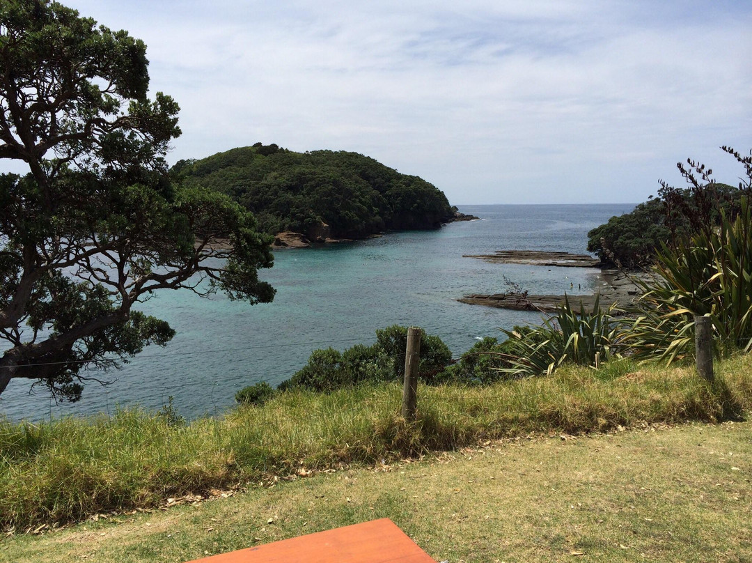Goat Island Marine Reserve-瓦卡沃夫必去景点