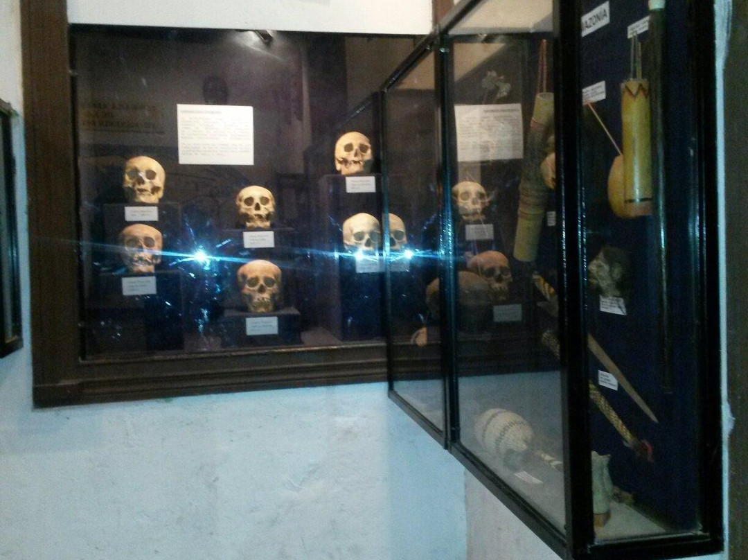 Museo Arqueologico de Los Andes-Los Andes必去景点