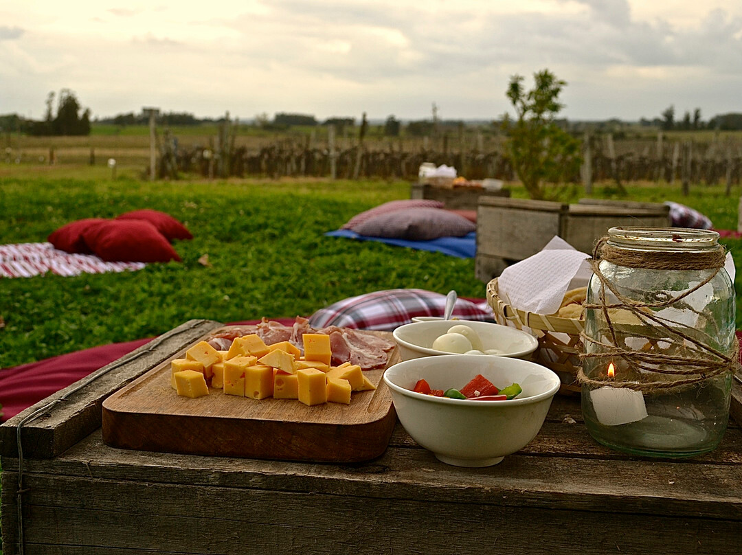 Los Nadies-Canelones必去景点