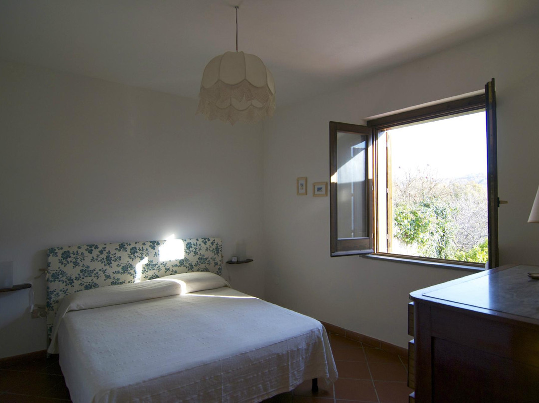 B&B Monticello主图