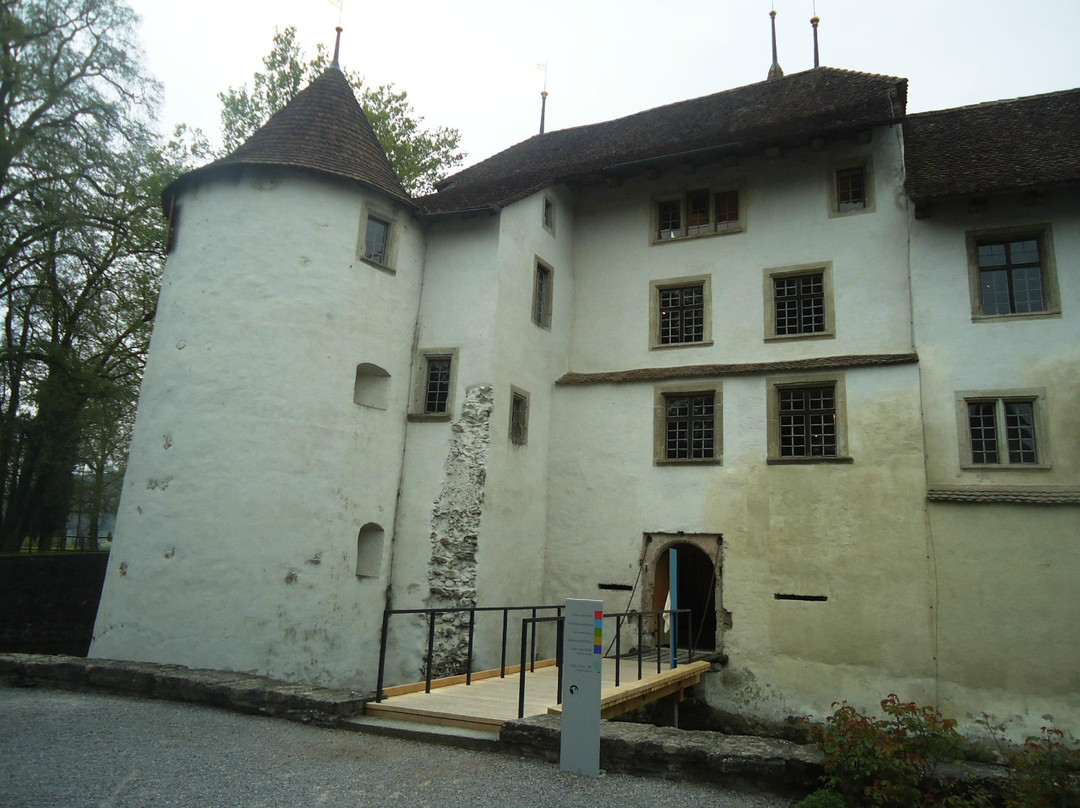 Schloss Hallwyl-Seengen必去景点