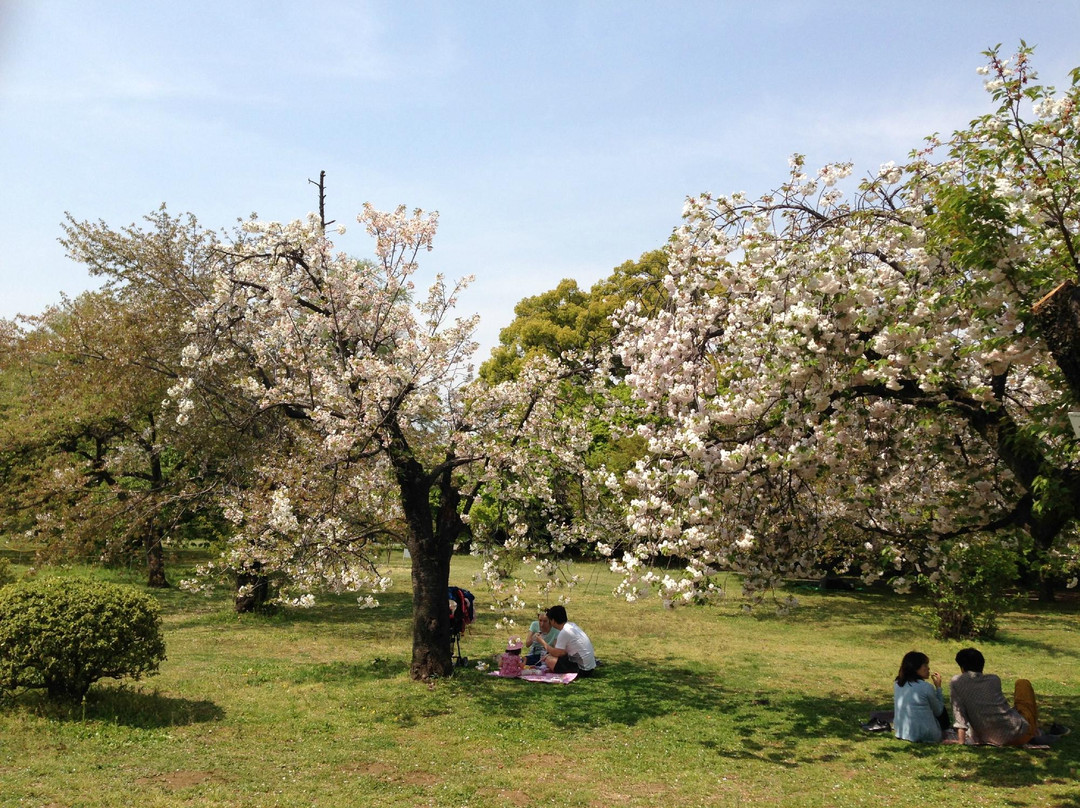 Koishikawa Botanical Garden景点图片