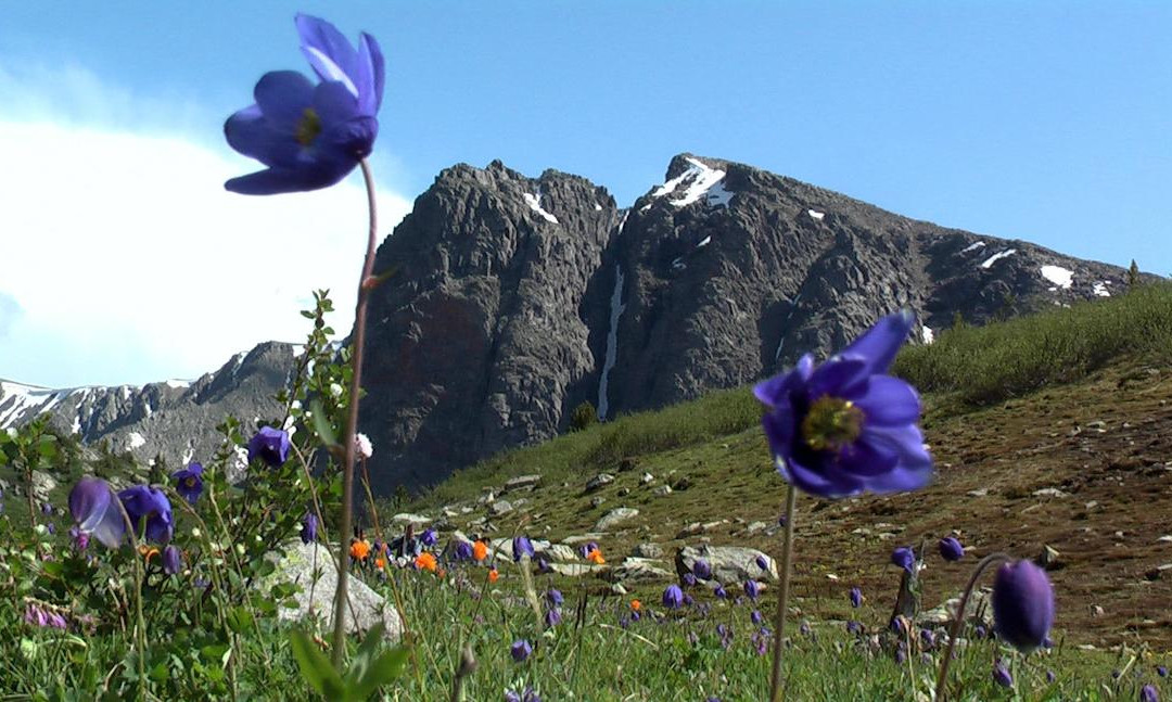 Karakol Nature Park Uch-Enmek景点图片