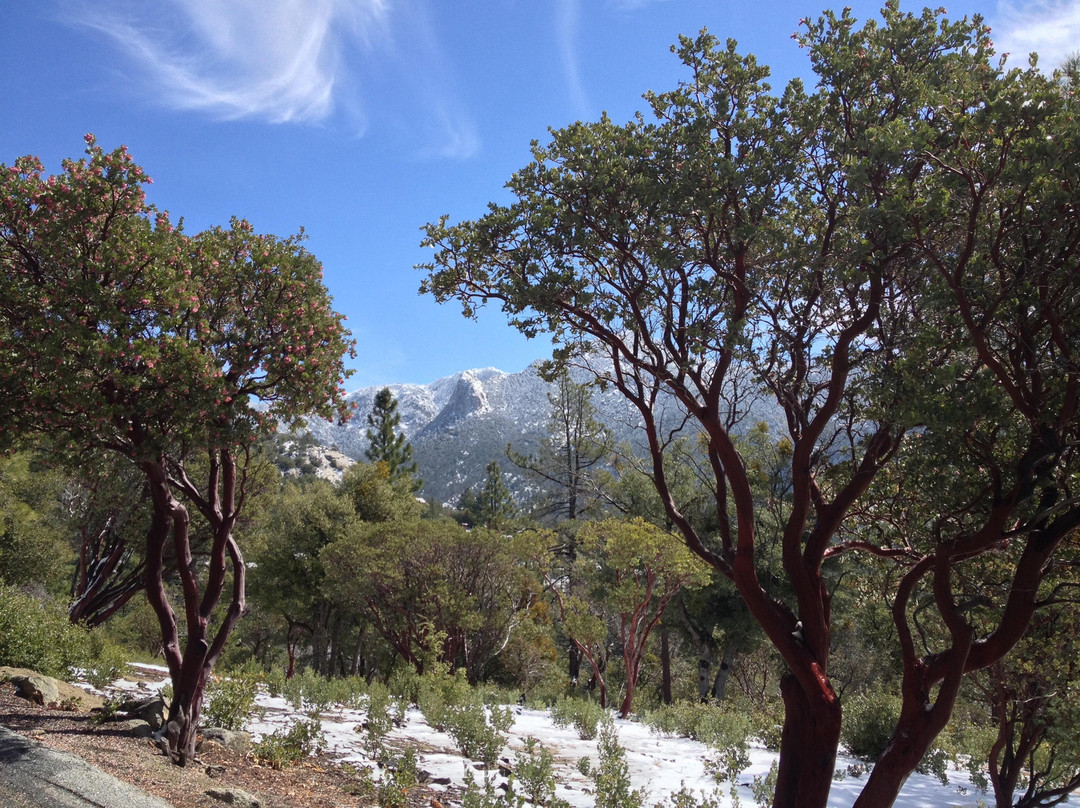 Idyllwild Nature Center-Idyllwild必去景点