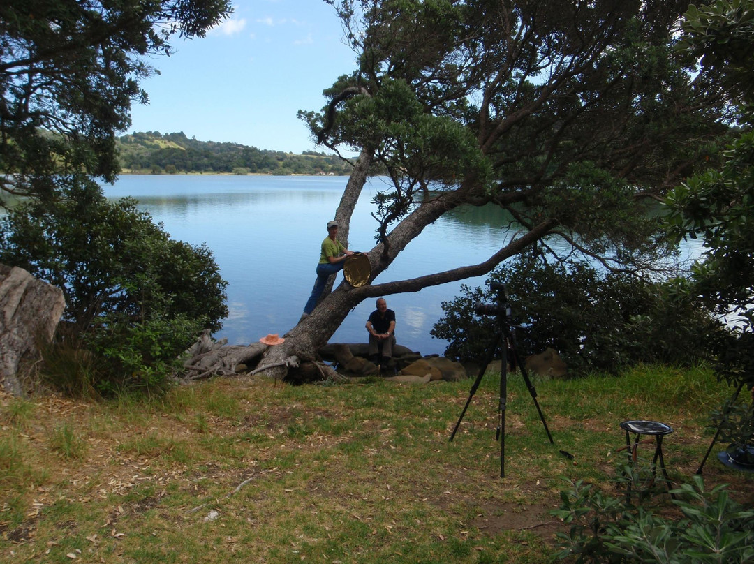 Wenderholm Regional Park-怀韦拉必去景点