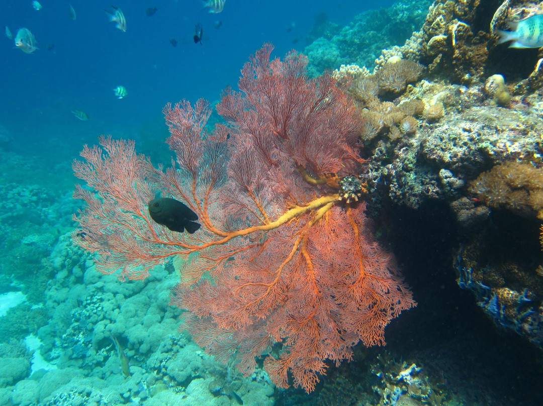 孟赞干岛-佩母德兰必去景点
