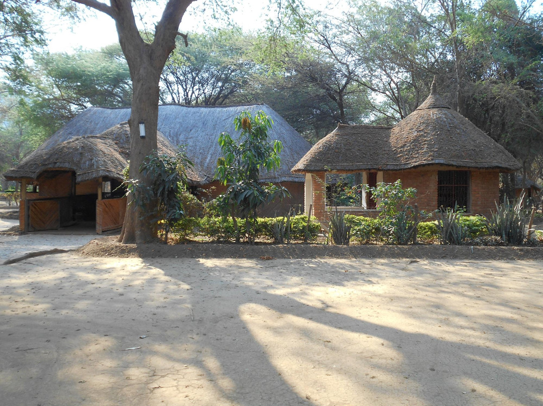 Chogela Safari Camp主图