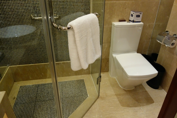 深圳大中华喜来登酒店-浴室