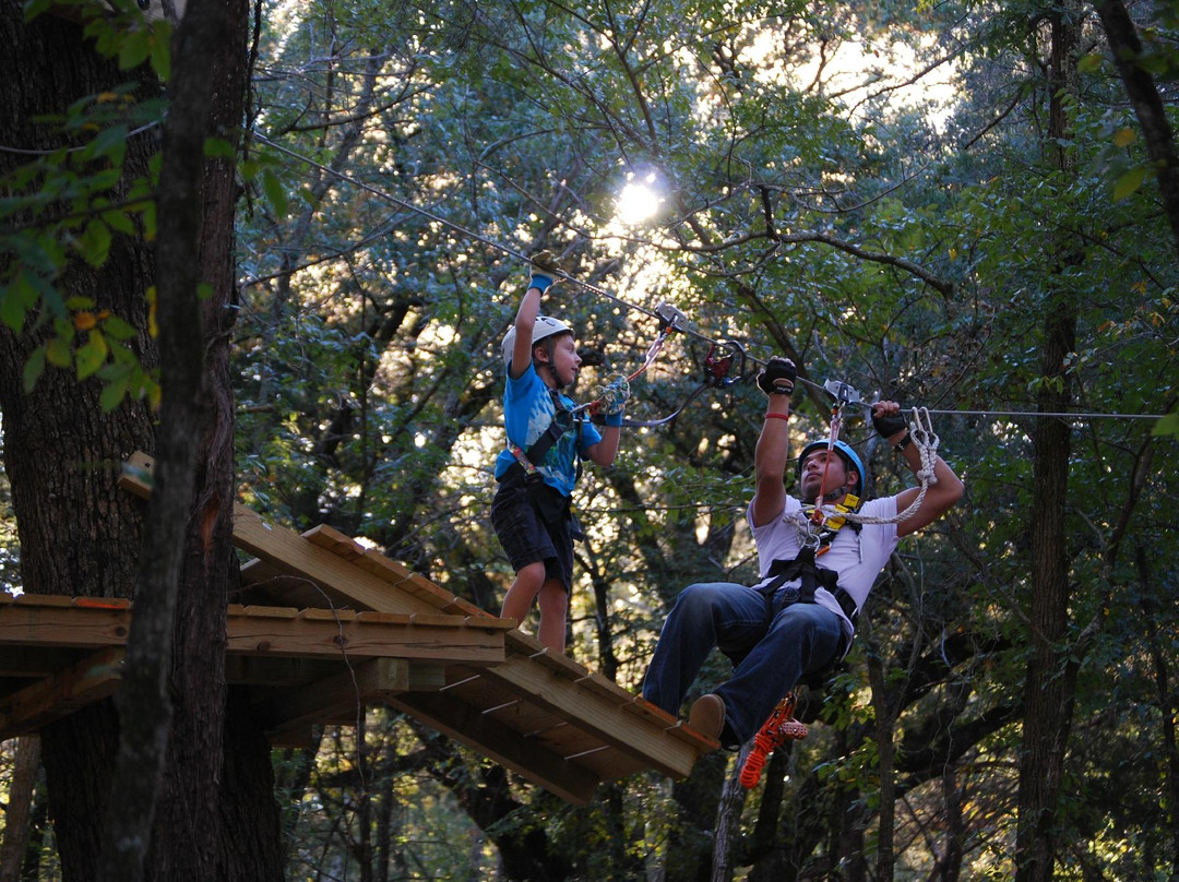 Trinity Forest Adventure Park-达拉斯必去景点