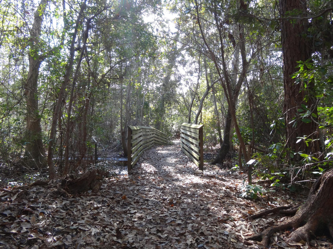 Oak Tree Nature Park-Mary Esther必去景点