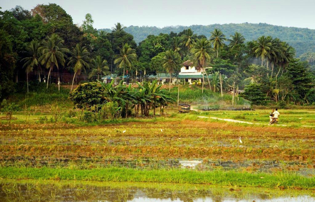 Lakniwasa Tourist Inn主图