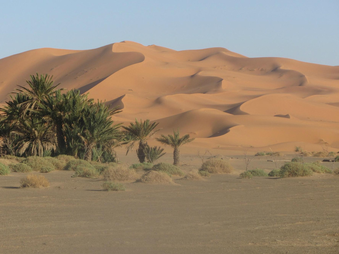 Sahara Spirit Voyage Day Tours-瓦尔扎扎特必去景点