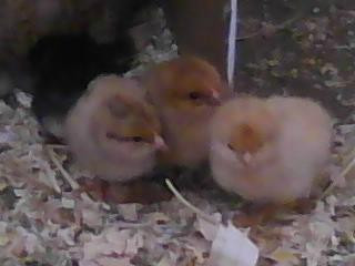 Ampelos Cellars-隆波克必去景点