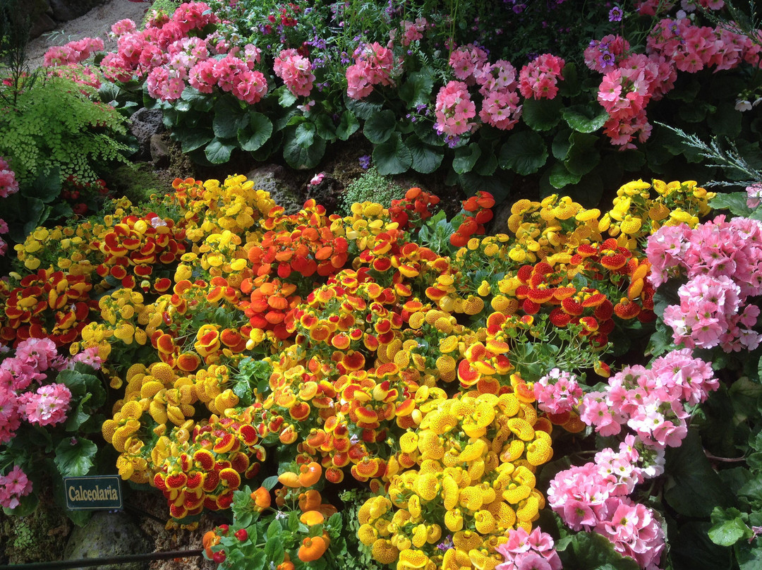 菲茨罗花园-墨尔本必去景点