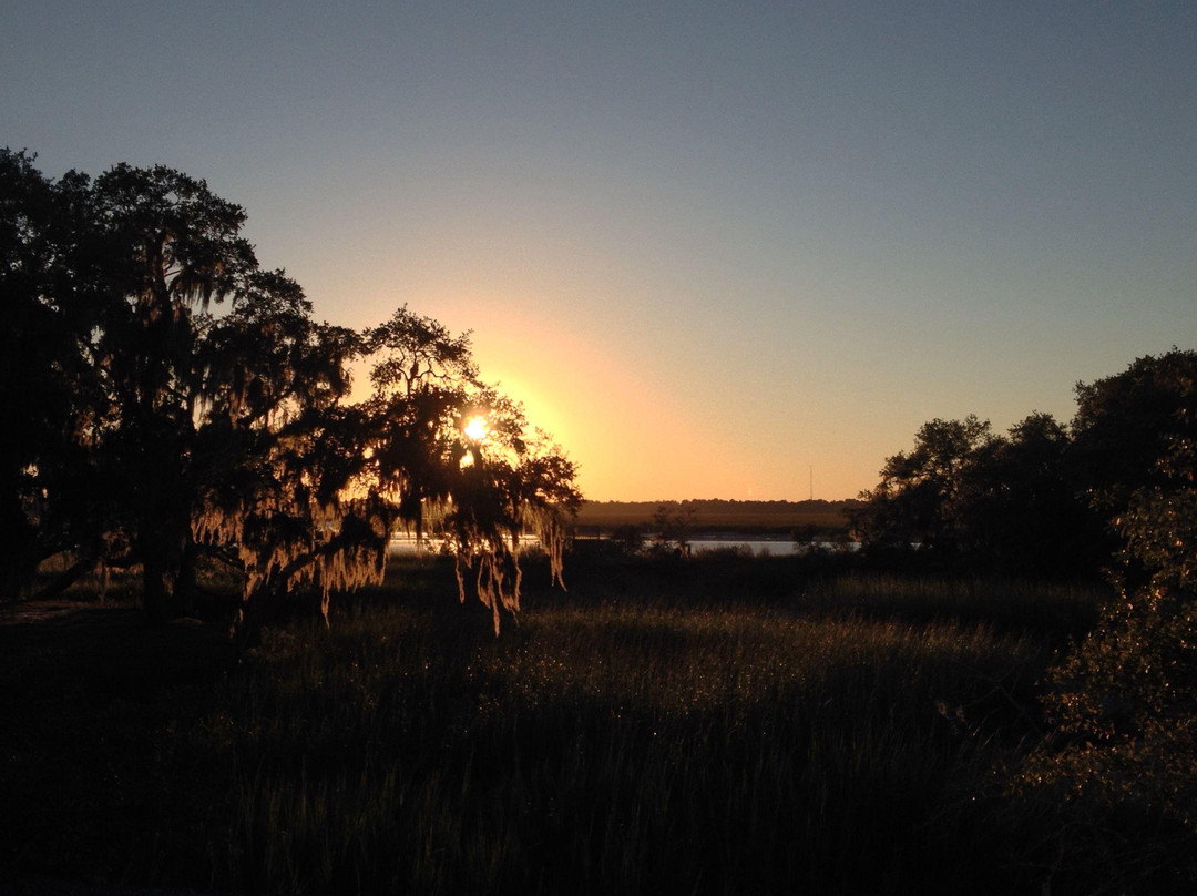 Spanish Moss Trail-博福特必去景点