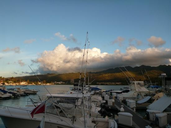 暗礁海盗潜水-火奴鲁鲁必去景点