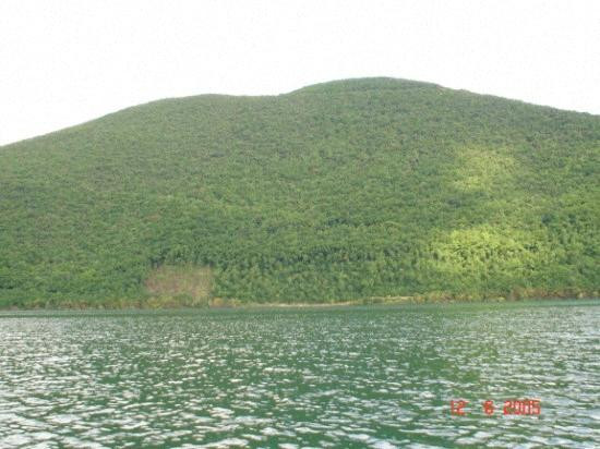 Lago di Cingoli景点图片