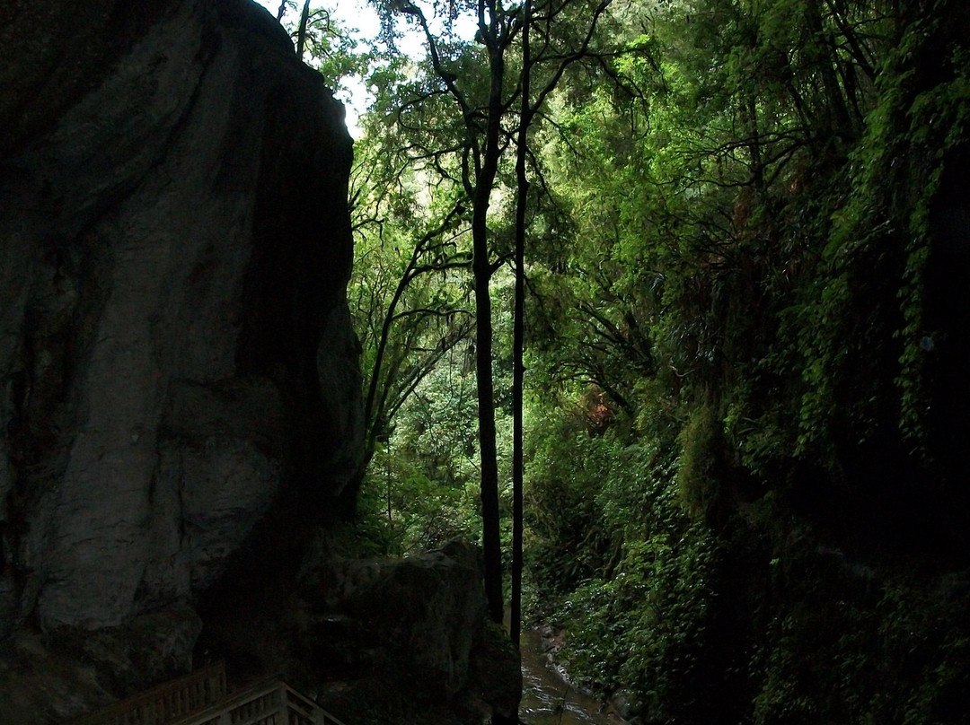 Mangapohue Natural Bridge Walk-怀托摩洞穴必去景点