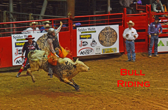 Harper Stadium-史密斯堡必去景点