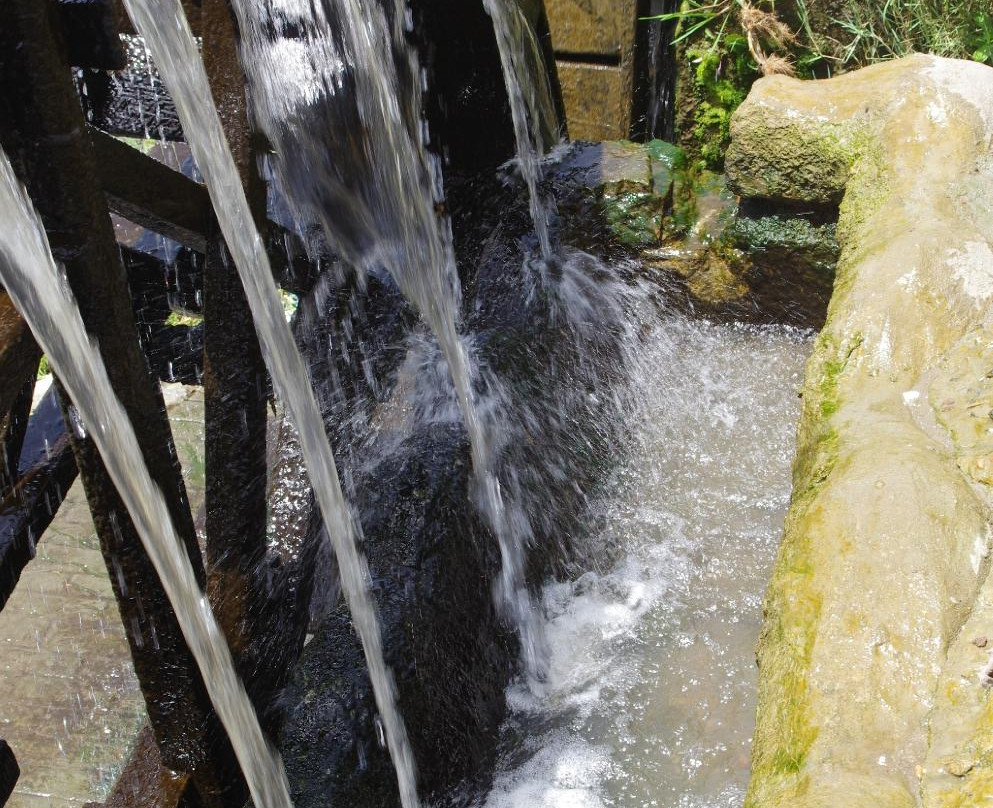 Waterwheels in Al Faiyum-法尤姆必去景点