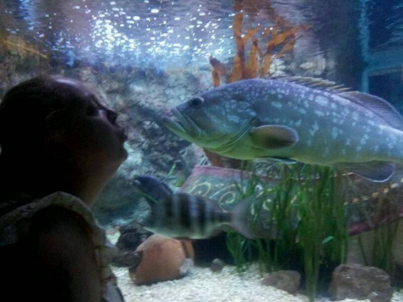 SEA LIFE Benalmadena景点图片
