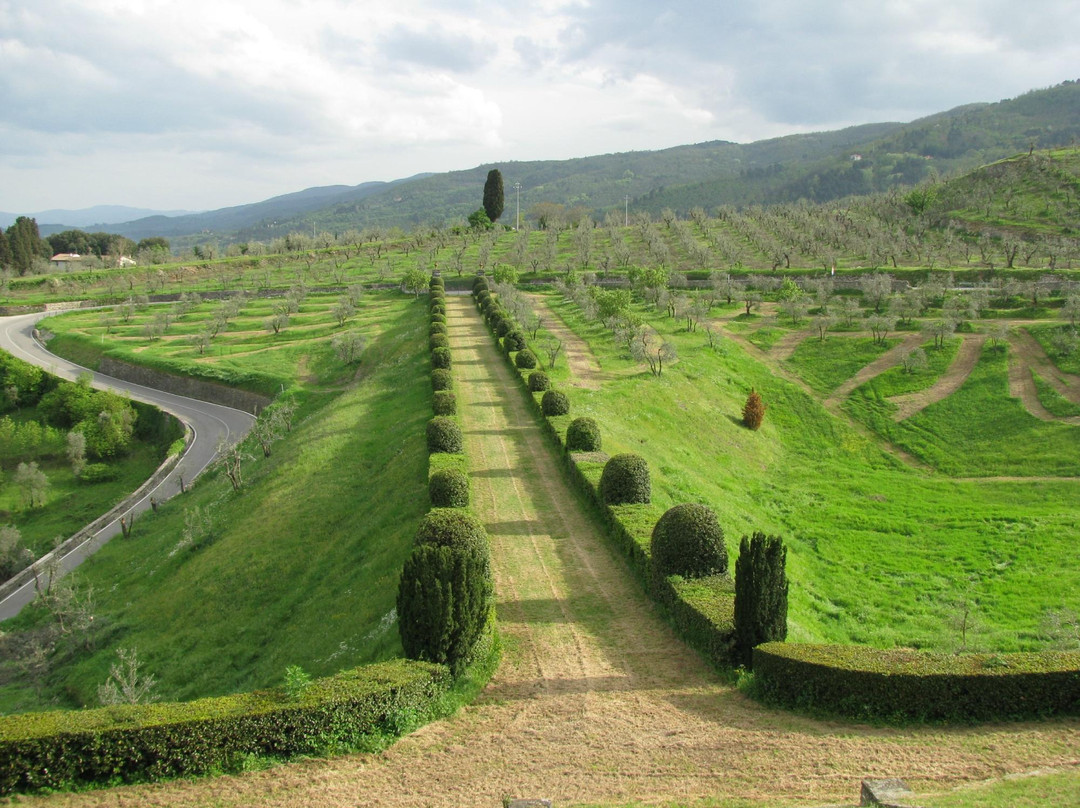 San Donato in Collina旅游攻略图片
