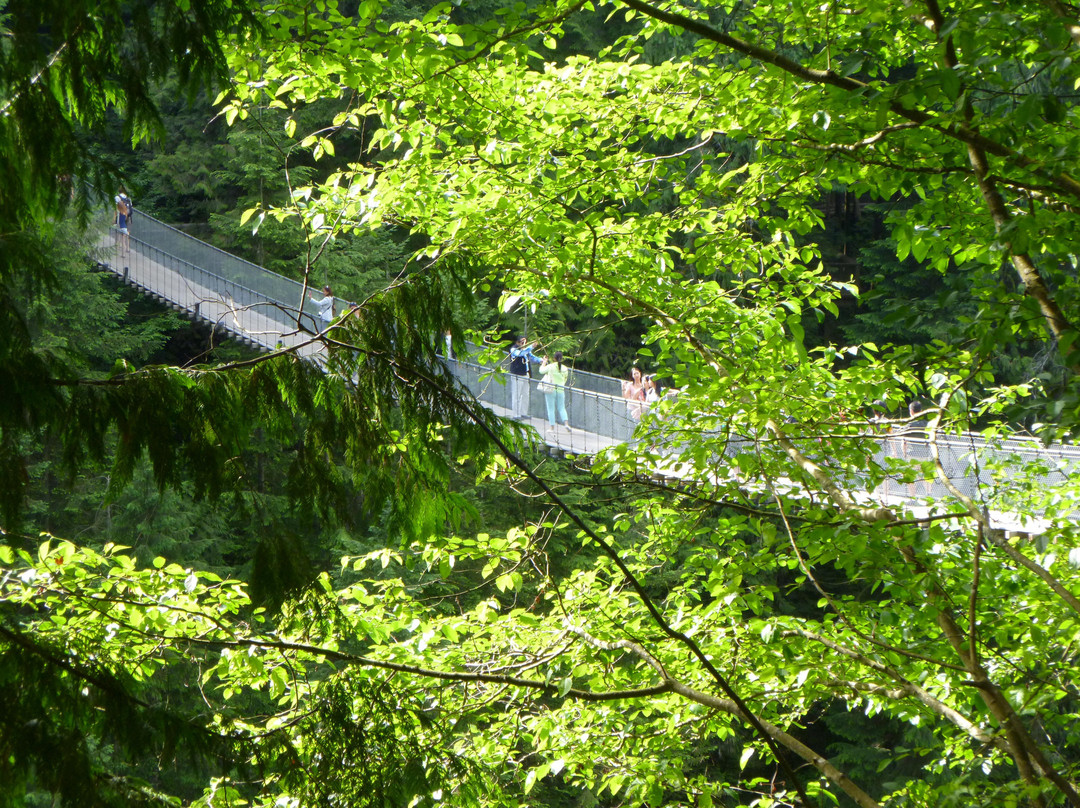 卡皮拉诺吊桥及公园-北温哥华必去景点