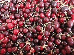 The Cherry Orchard B&B主图